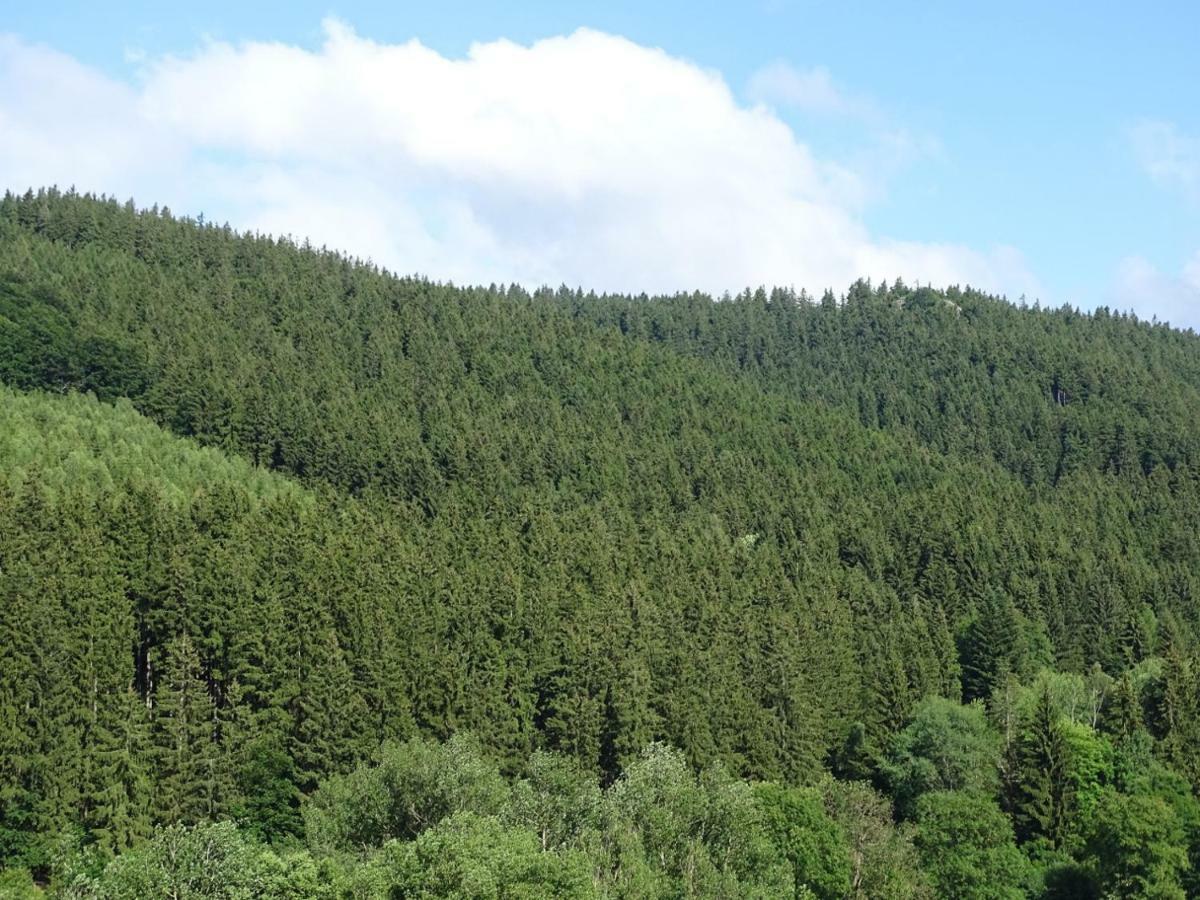 Ferienwohnung Am Berggrabenweg Ilmenau Eksteriør bilde
